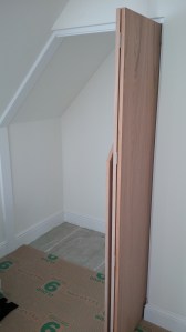 IMG_00000950