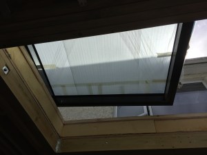 IMG_0331
